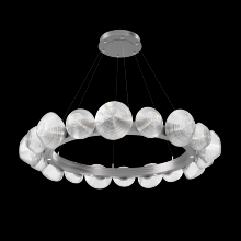 Hammerton CHB0089-48-SN-C-CA1-L3 - Mesa Radial Ring - 48-Inch