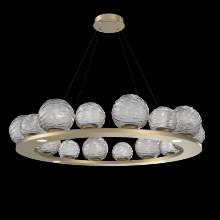 Hammerton CHB0092-0D-GB-S-CA1-L1 - Gaia Ring - 48-Inch