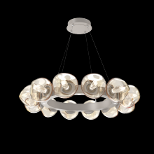 Hammerton CHB0095-36-BS-GA-CA1-L1 - Luna Radial Ring - 36-Inch