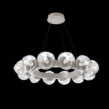 Hammerton CHB0095-36-BS-GC-CA1-L3 - Luna Radial Ring - 36-Inch
