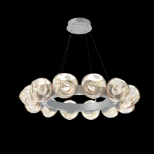 Hammerton CHB0095-36-CS-FA-CA1-L3 - Luna Radial Ring - 36-Inch
