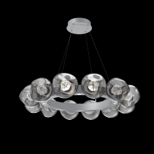 Hammerton CHB0095-36-CS-ZS-CA1-L1 - Luna Radial Ring - 36-Inch