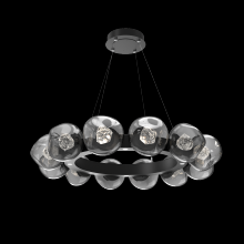Hammerton CHB0095-36-MB-ZS-CA1-L3 - Luna Radial Ring - 36-Inch