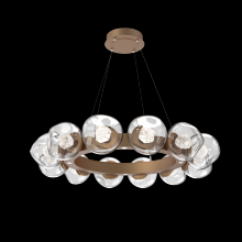 Hammerton CHB0095-36-NB-ZC-CA1-L1 - Luna Radial Ring - 36-Inch