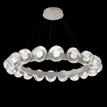 Hammerton CHB0095-48-BS-ZC-CA1-L3 - Luna Radial Ring - 48-Inch