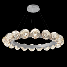 Hammerton CHB0095-48-CS-FA-CA1-L3 - Luna Radial Ring - 48-Inch