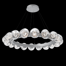 Hammerton CHB0095-48-CS-FC-CA1-L1 - Luna Radial Ring - 48-Inch