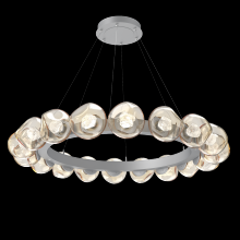 Hammerton CHB0095-48-CS-ZA-CA1-L1 - Luna Radial Ring - 48-Inch
