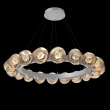 Hammerton CHB0095-48-CS-ZB-CA1-L1 - Luna Radial Ring - 48-Inch