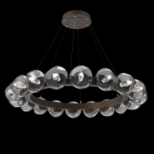 Hammerton CHB0095-48-FB-GS-CA1-L1 - Luna Radial Ring - 48-Inch