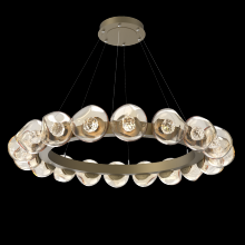 Hammerton CHB0095-48-GB-FA-CA1-L1 - Luna Radial Ring - 48-Inch