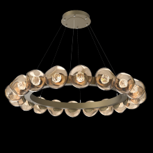 Hammerton CHB0095-48-GB-FB-CA1-L1 - Luna Radial Ring - 48-Inch