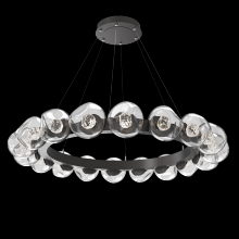 Hammerton CHB0095-48-GP-FC-CA1-L1 - Luna Radial Ring - 48-Inch