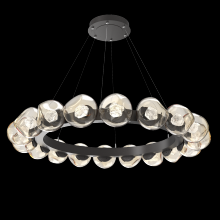 Hammerton CHB0095-48-GP-ZA-CA1-L3 - Luna Radial Ring - 48-Inch