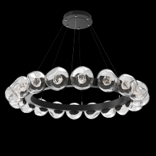Hammerton CHB0095-48-MB-FC-CA1-L1 - Luna Radial Ring - 48-Inch