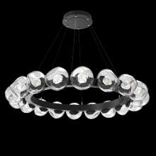 Hammerton CHB0095-48-MB-ZC-CA1-L1 - Luna Radial Ring - 48-Inch