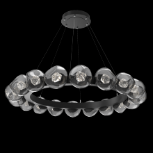 Hammerton CHB0095-48-MB-ZS-CA1-L1 - Luna Radial Ring - 48-Inch