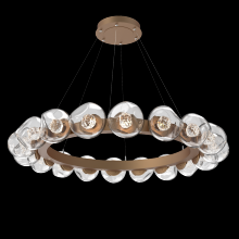 Hammerton CHB0095-48-NB-FC-CA1-L3 - Luna Radial Ring - 48-Inch
