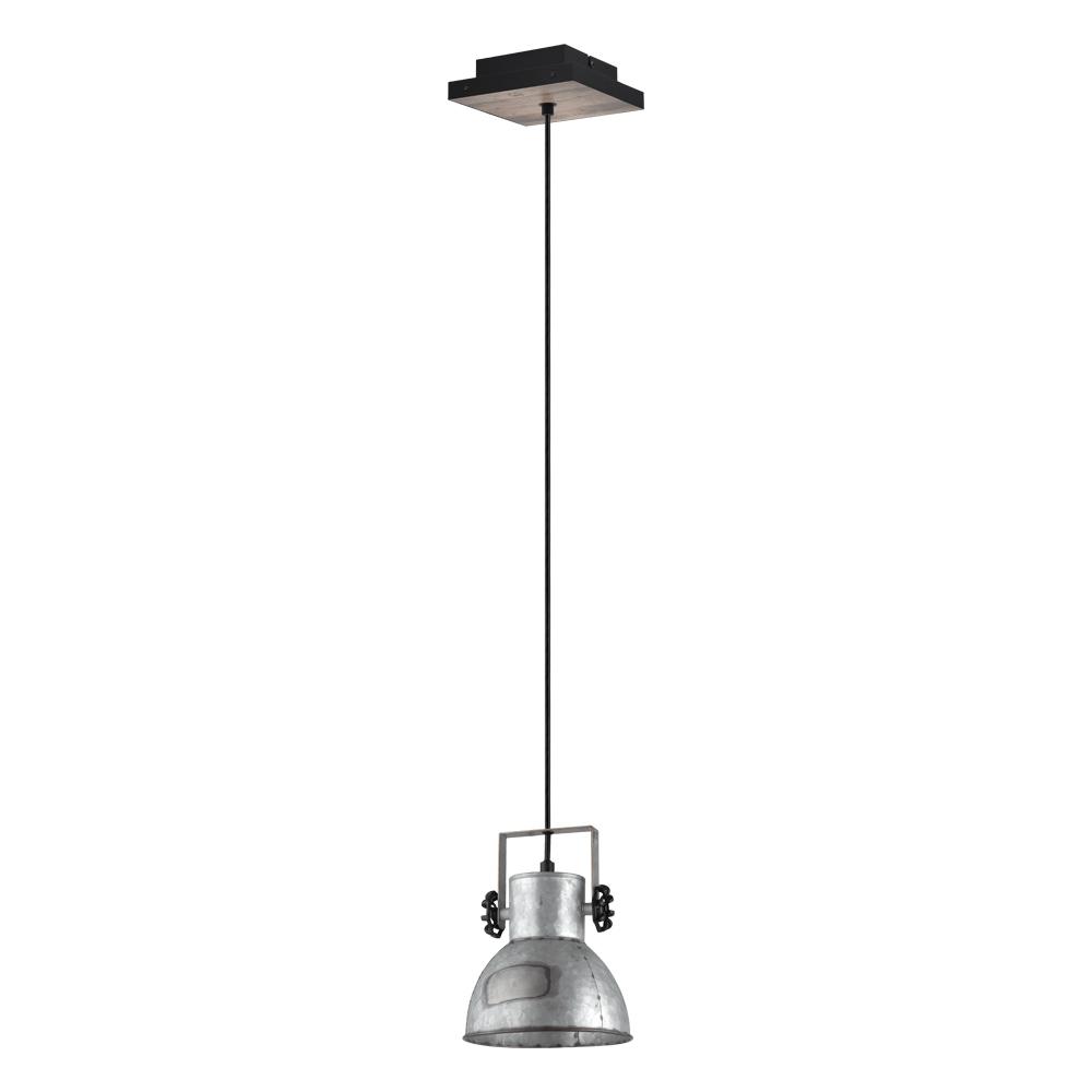 1 LT Pendant w/ a Distressed Zinc & Black Finish