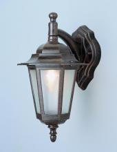 Trans Globe 4056 RT - 1LT WALL-OUTD-DOWN-FROSTED GLA