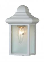 Trans Globe 44835 WH - 1LT WALL-POCKET-OUTD-MINI-CLEA