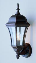 Trans Globe 4502 RT - 1LT WALL-OUTD-CLEAR GLASS