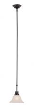 Trans Globe 6548 WB - 1LT MINI PENDANT-MARBLEIZED GL